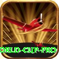 2019 world cup Money Mega v1.9.4