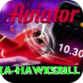 antigua hawksbill Pro Edition v5.3.7