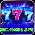 bbl big bash apk Pro Edition v4.6.8