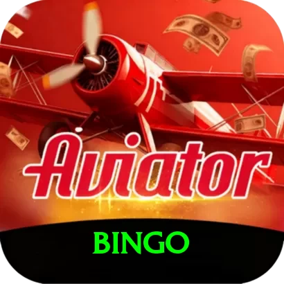 bingo VIP Pro vv3.5.4 - 2