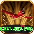 cricket aus Pakistan Supreme v4.7.4