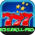 cricket match schedule Extreme v3.1.2
