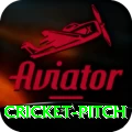 cricket pitch Turbo Pro v1.6.1