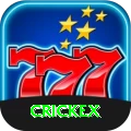 crickex Max v2.7.4