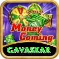 gavaskar Plus v4.1.3