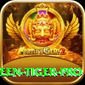 holloween tiger Casino Turbo v3.9.7