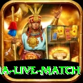 india australia live match Premium v2.1.2