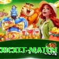 india cricket match Pro1 v4.5.8