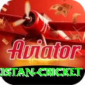 india pakistan cricket Turbo Pro v2.8.7