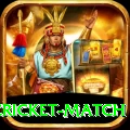 india pakistan cricket match Turbo v5.0.0