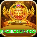 india pakistan cricket - Casino Ultimate