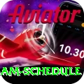 indian cricket team schedule Deluxe Edition v1.2.8