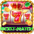 international cricket match VIP Edition v3.2.1