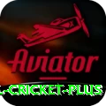 international cricket Master APK v2.0.0