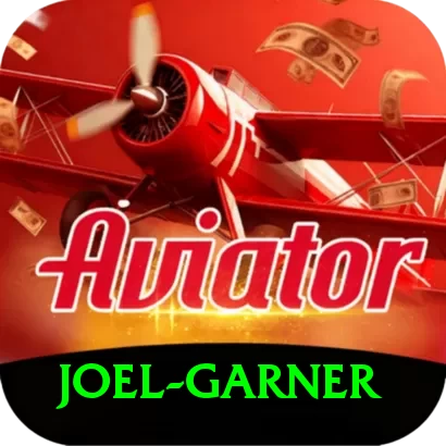 joel garner VIP Pro v2.8.6 - 2