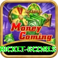 latest cricket scores VIP v4.8.3