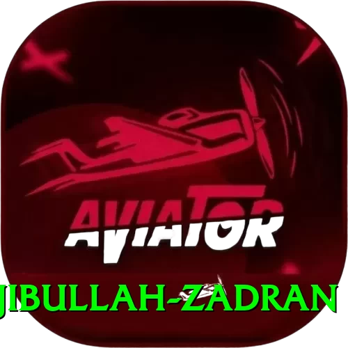 najibullah zadran Turbo Pro v5.0.2 - 2