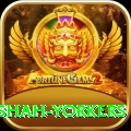 naseem shah yorkers VIP v1.5.3
