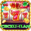 new zealand cricket team Plus v5.5.6