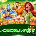 one cricket Casino Official v1.4.4
