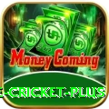 online cricket King - Free Download