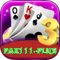 pak111 VIP v3.0.6