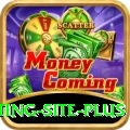 Pakistan Betting Site APK Elite v3.6.4