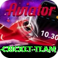 pakistan women cricket team Apps (Tools & Injectors) Max v4.5.8