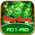pk11 Casino Max v1.2.2