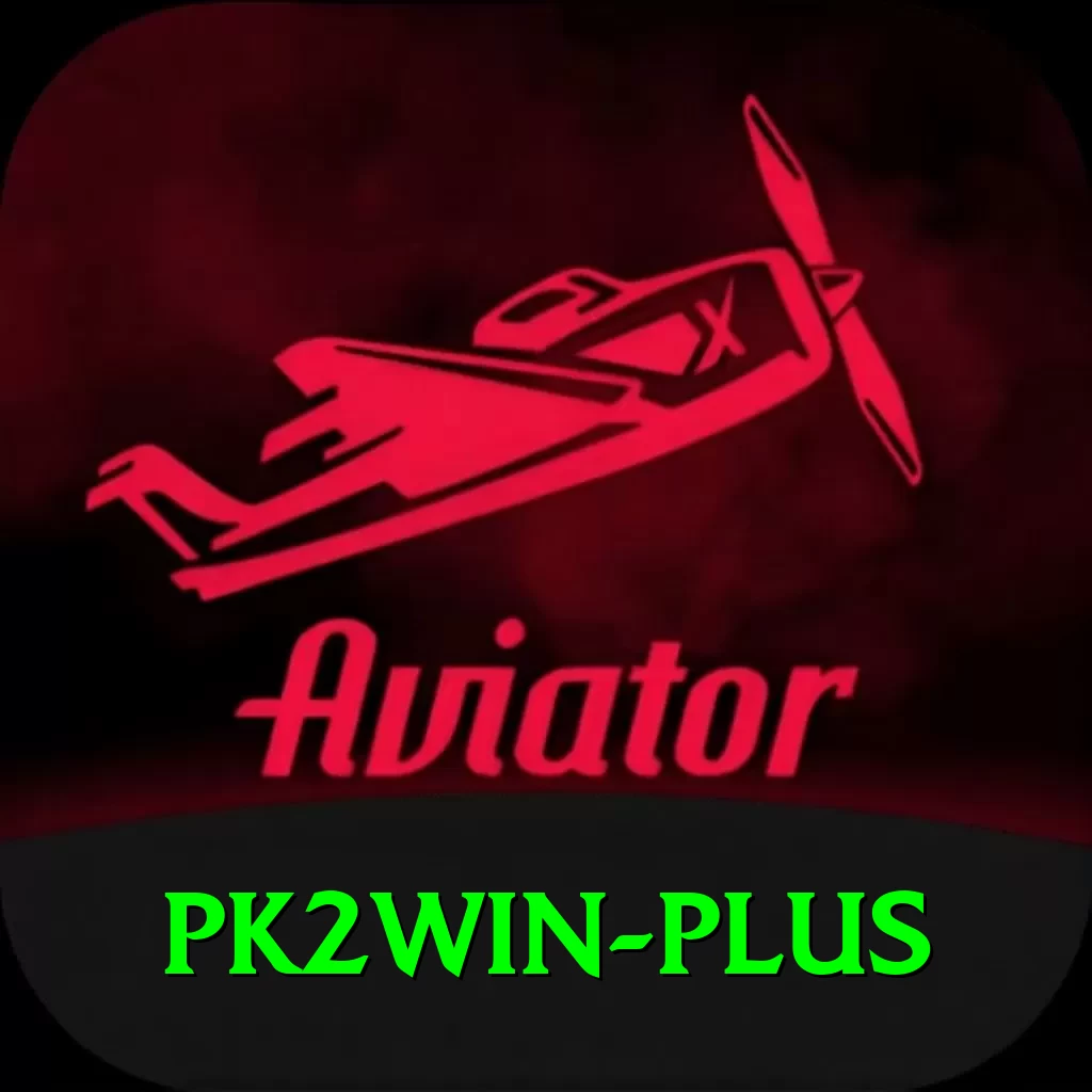 pk2win VIP Pro v4.1.7 - 2