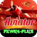 pkwin Pro v1.8.5