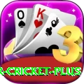 r cricket Turbo Casino App
