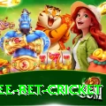 risk free bet cricket Plus Edition v5.1.4