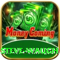 steve waugh Pro Max v4.4.4