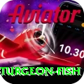 sturgeon fish Plus