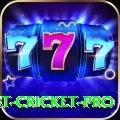test cricket - Prime Earning App