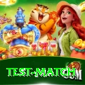 test match Plus Pro v5.8.3