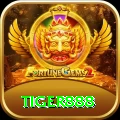 tiger888 Elite v5.8.3