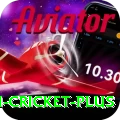 virat kohli cricket VIP Slots