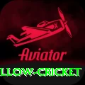 willow cricket Deluxe Edition v5.5.6