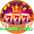 willow cricket Elite Gaming App
